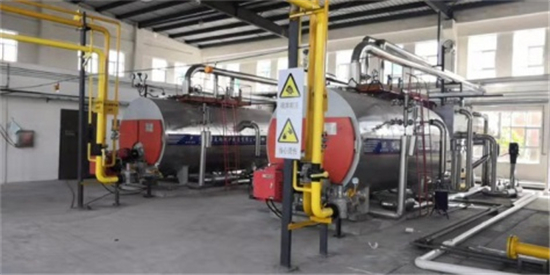 廣東中山垃圾處理廠2臺6噸燃?xì)庹羝仩t